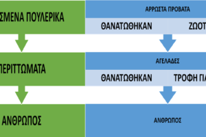 ΖΩΟΝΟΣΟΙ