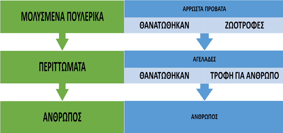 Οι ζωονόσοι τα τελευταία χρόνια