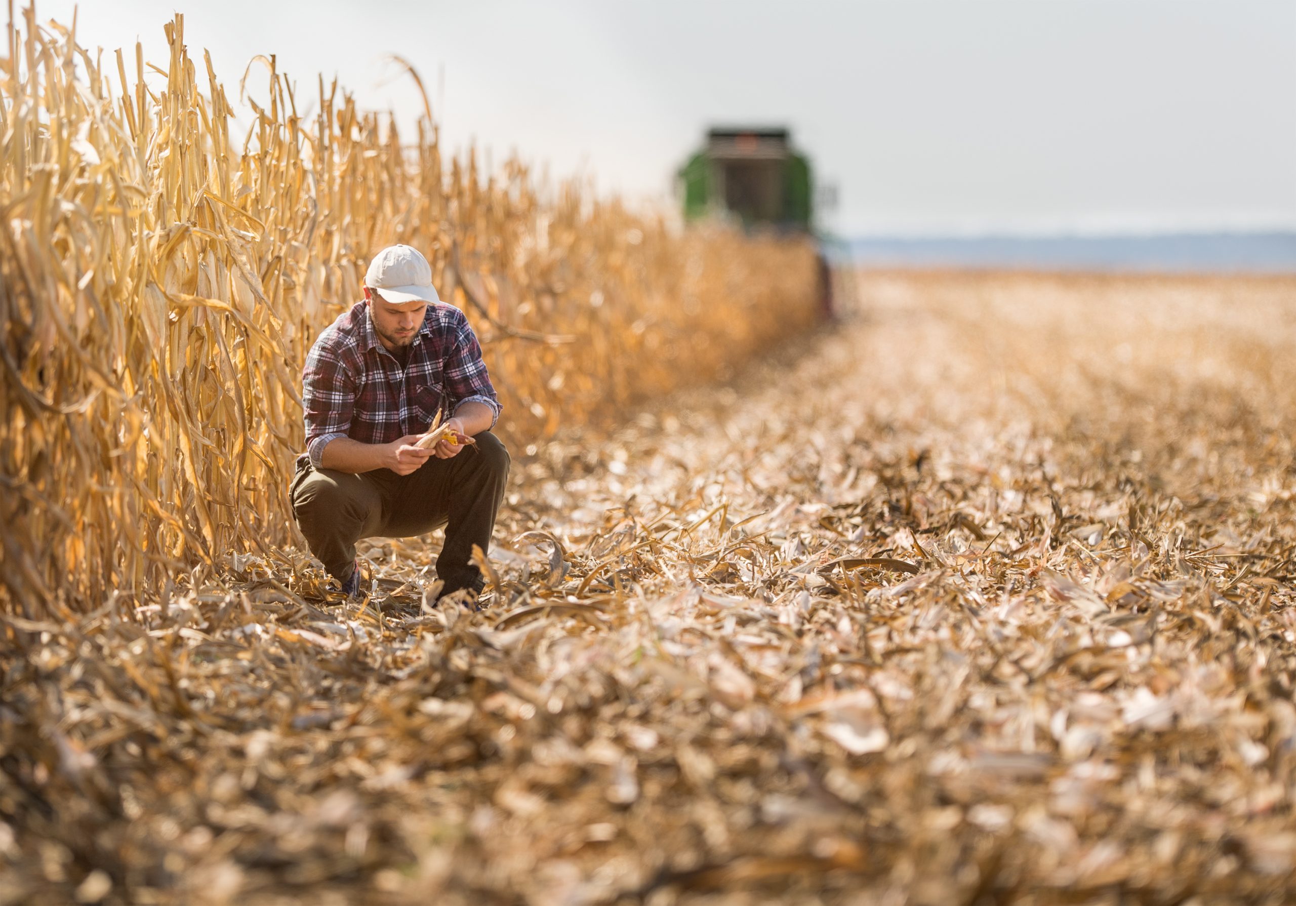 farmer 6things scaled | Agronomist.gr