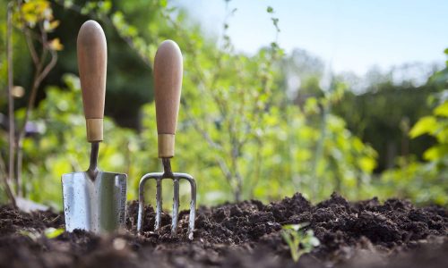 course thumbnail